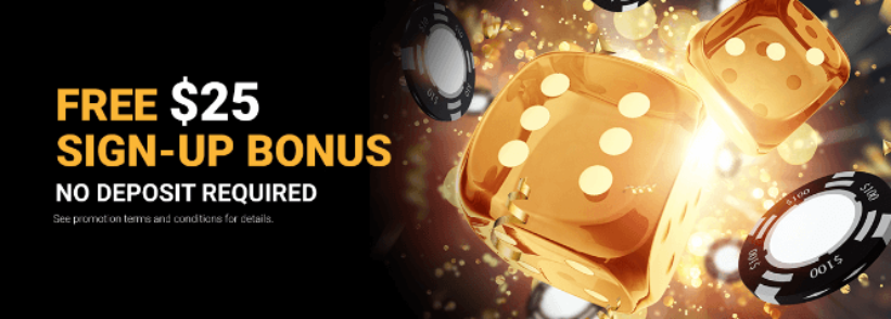 Video slots Casino Bonus and Promotions