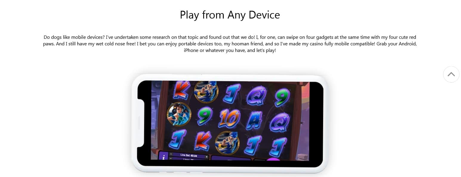 How to play Red Dog Casino Canada on mobile