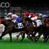 AGCO makes modifications to the Rules of Racing